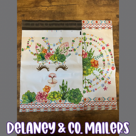 10x13 Llama & Succulents Polymailer [10]