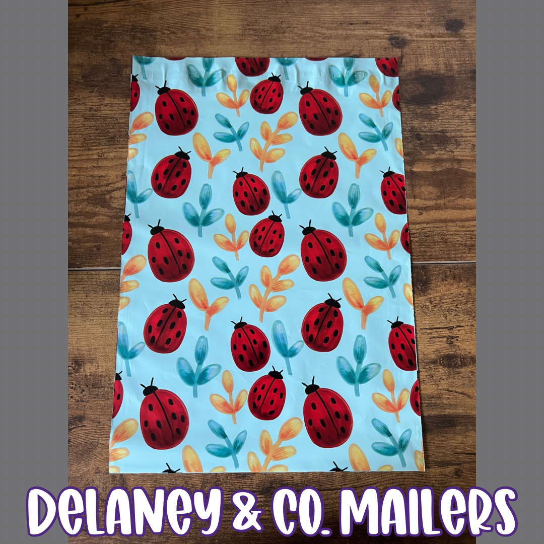 10x13 Ladybug Polymailer [10]