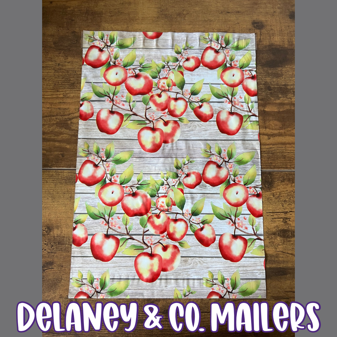 10x13 Apple Polymailer [10]