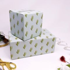 10x6x4 Cactus Shipping Box